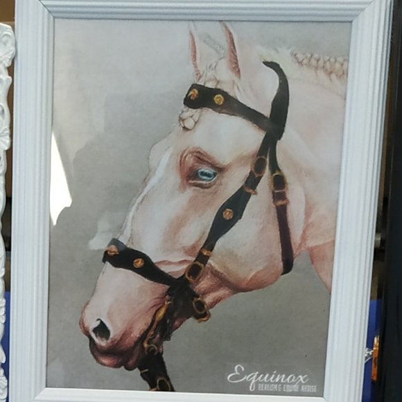 🐴 Horse drawing Wall Art Poster Print A4 Signed by artist - Picture 4 of 4